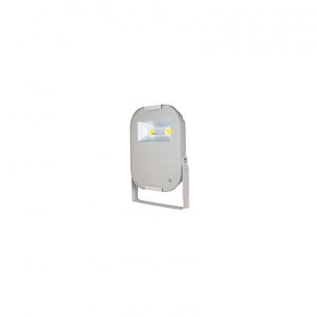 Светодиодный прожектор RAINO 2 PR 185 Вт для осветительной мачты